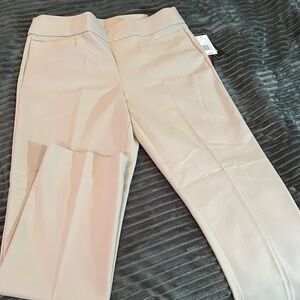 Briggs size 10 slacks